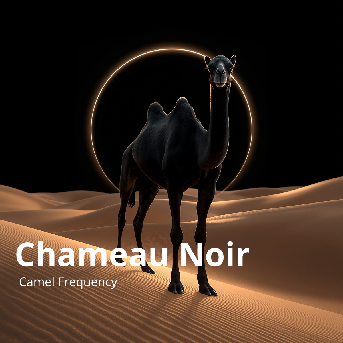 Dark Version cover
